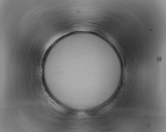 X0000111830787200908131545