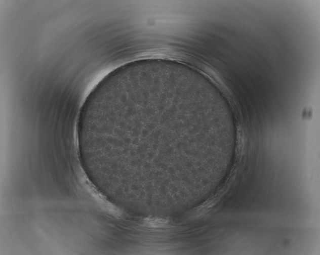 X0000111830788200908131545