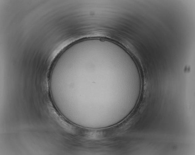 X0000111830789200908131545