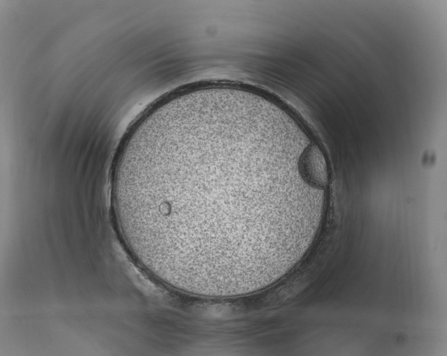 X0000111830791200908131545