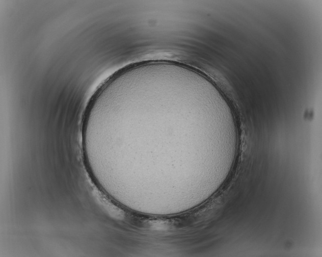 X0000111830792200908131545