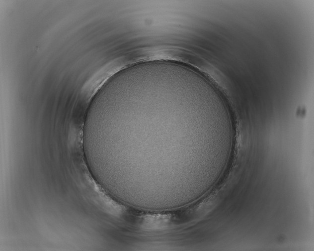 X0000111830793200908131545