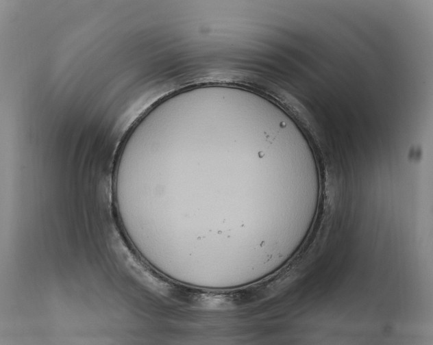 X0000111830794200908131545