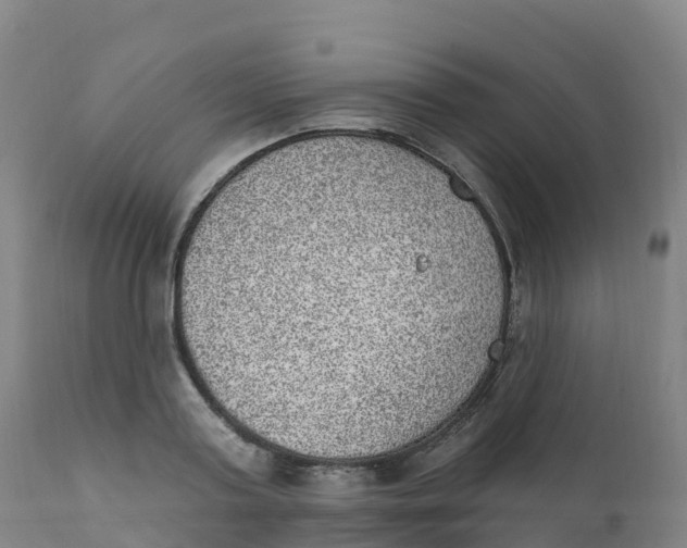 X0000111830795200908131545