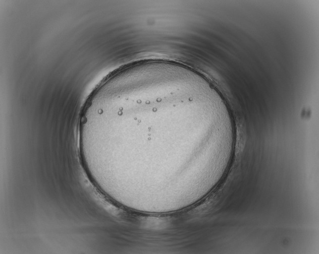 X0000111830796200908131545