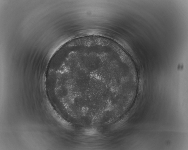 X0000111830798200908131545