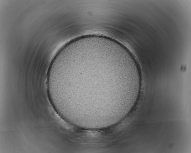 X0000111830799200908131545