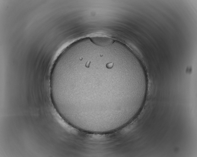 X0000111830800200908131545