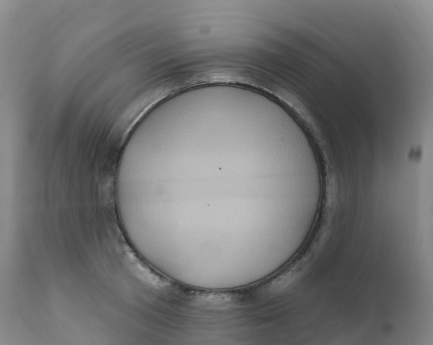 X0000111830801200908131545