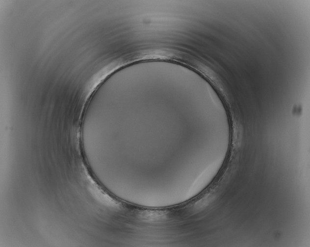 X0000111830802200908131545