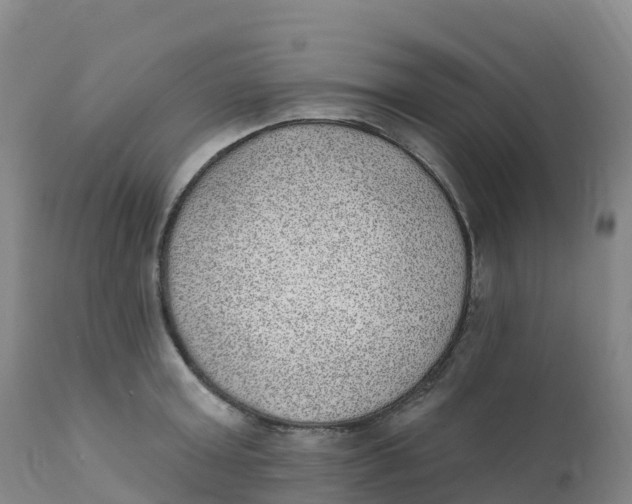 X0000111830803200908131545