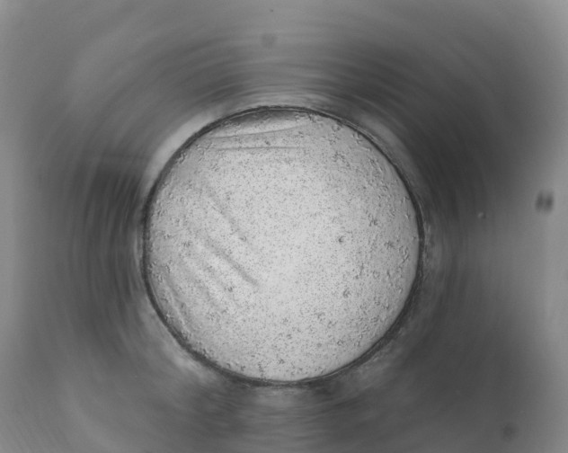 X0000111830804200908131545