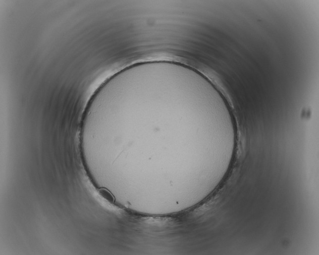 X0000111830805200908131545