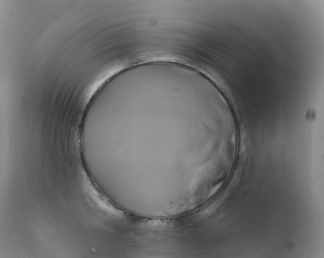 X0000111830806200908131545