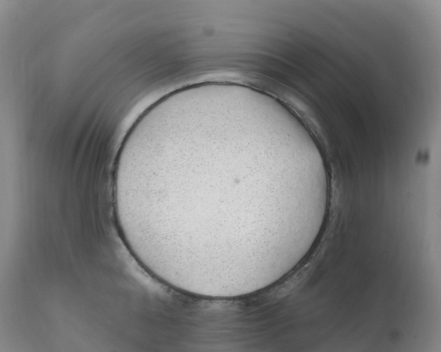 X0000111830808200908131545