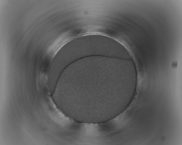 X0000111830809200908131545