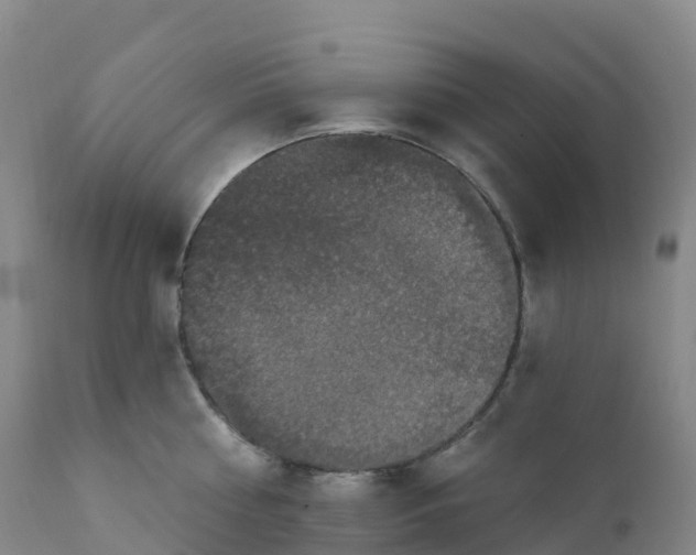 X0000111830810200908131545