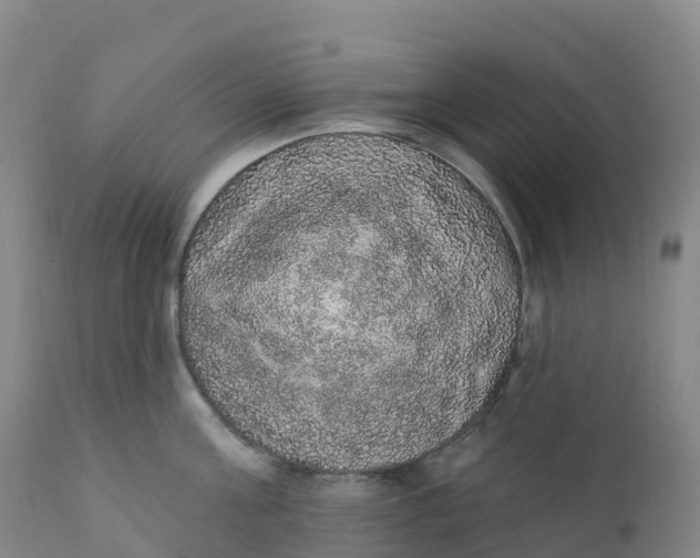 X0000111830811200908131545