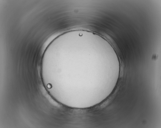 X0000111830812200908131545