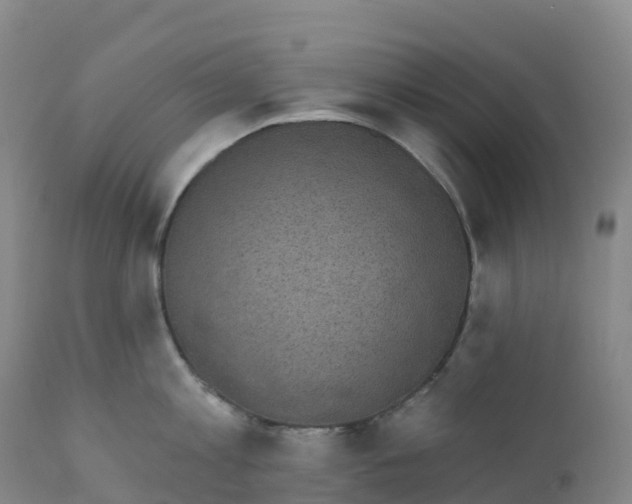 X0000111830813200908131545