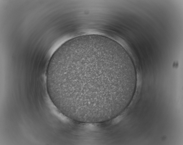 X0000111830814200908131545