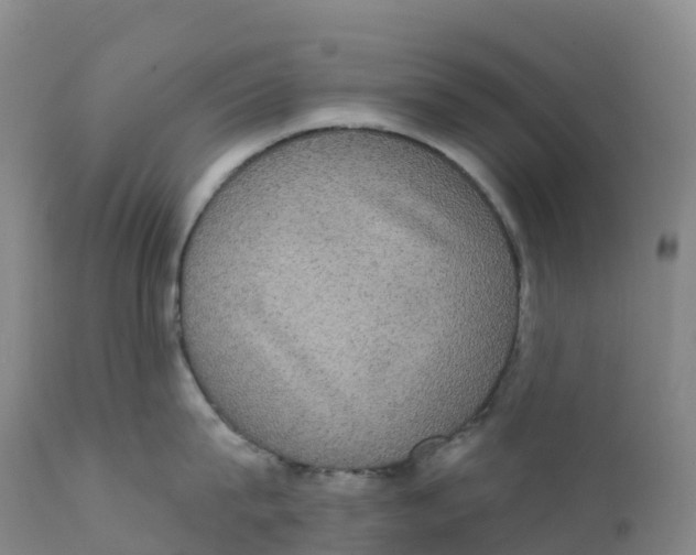 X0000111830815200908131545