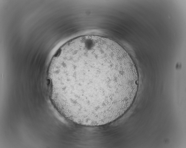 X0000111830816200908131545