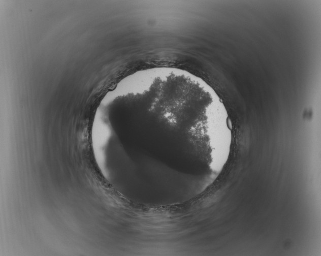 X0000111830818200908131544