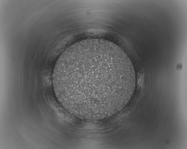 X0000111830819200908131544