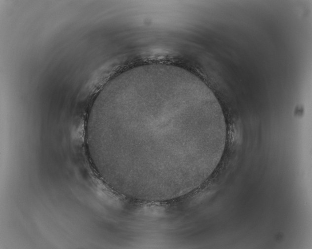 X0000111830820200908131544