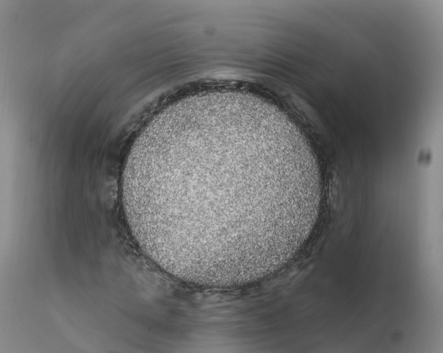 X0000111830821200908131544