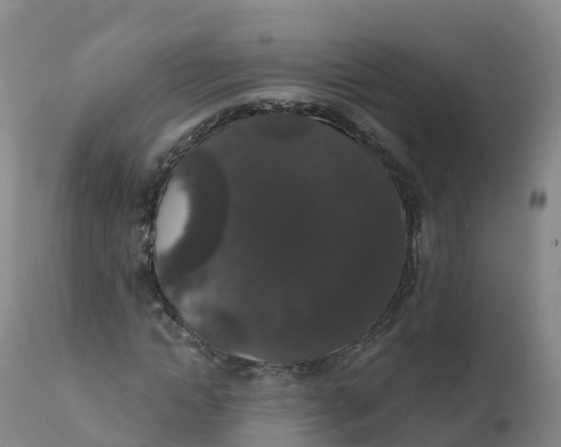 X0000111830822200908131544