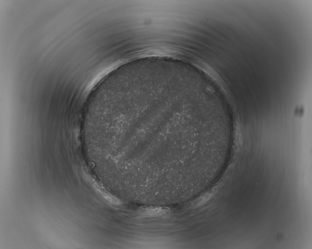 X0000111830826200908131544