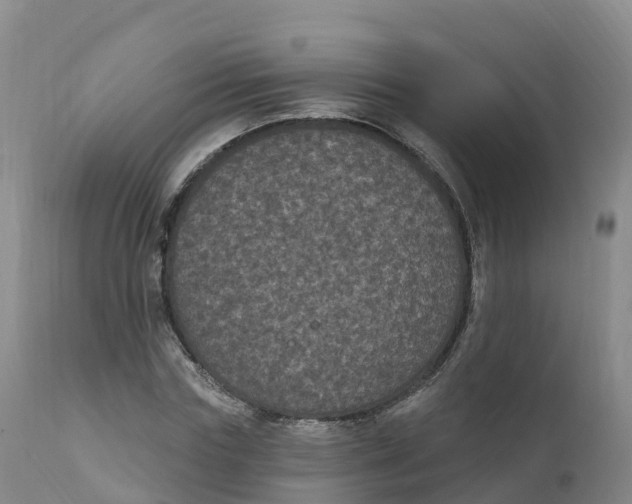 X0000111830827200908131544