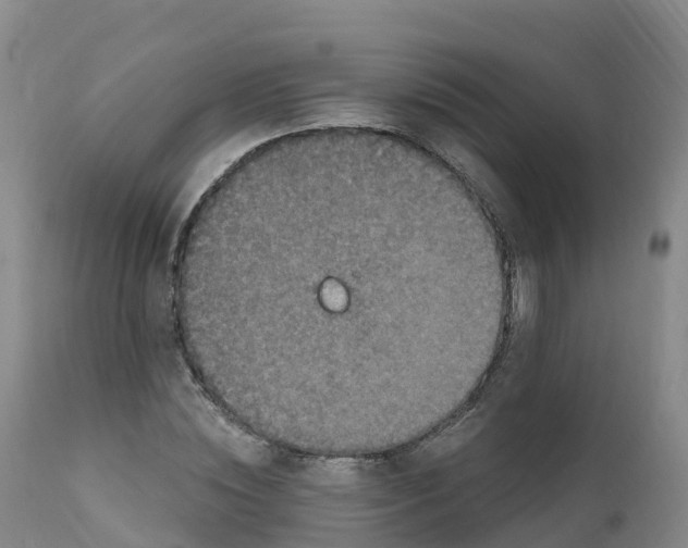 X0000111830828200908131544