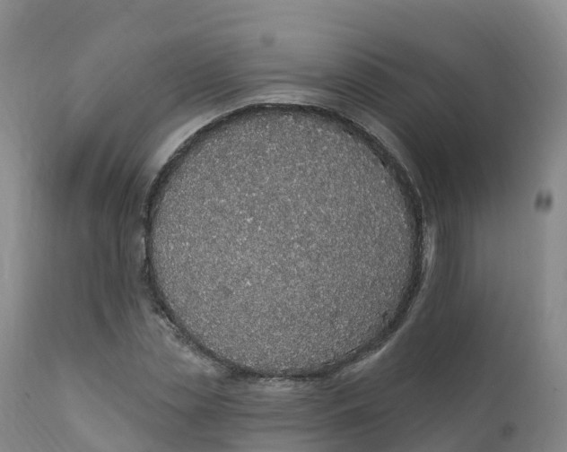 X0000111830829200908131544