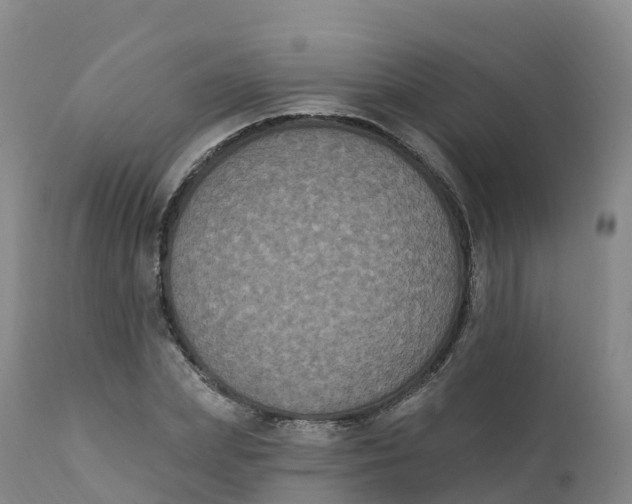 X0000111830831200908131544