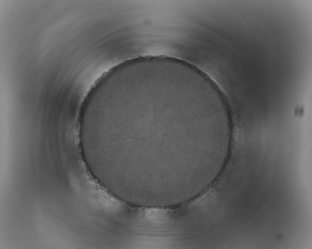 X0000111830832200908131544