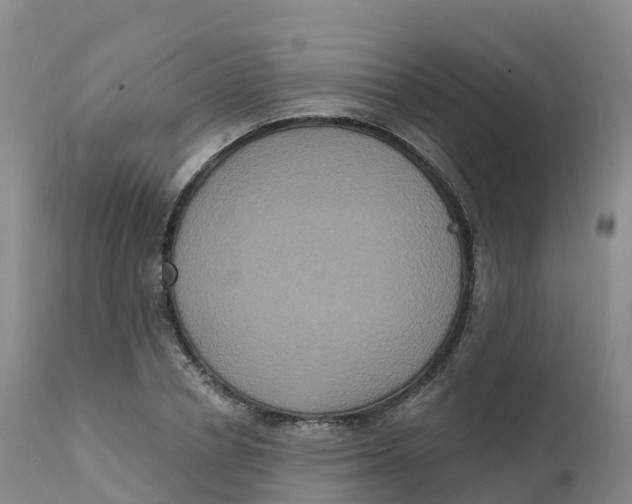 X0000111830834200908131544