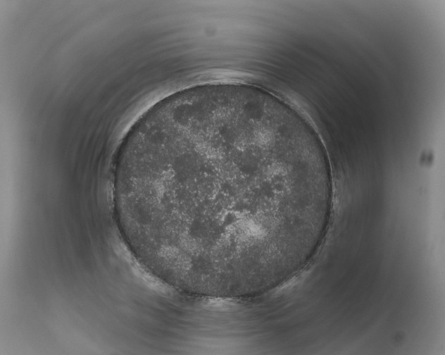 X0000111830835200908131544