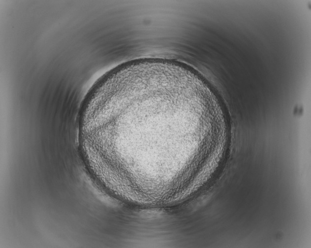 X0000111830838200908131544