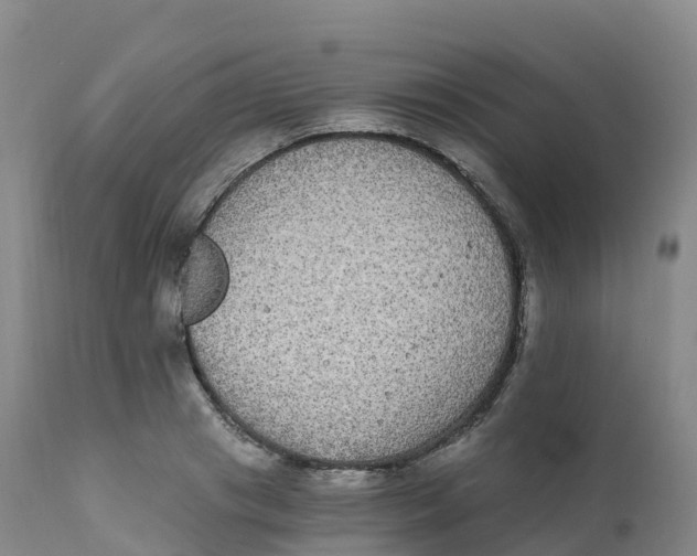 X0000111830841200908131544