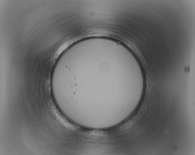 X0000111830842200908131544