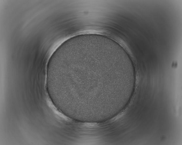 X0000111830844200908131544