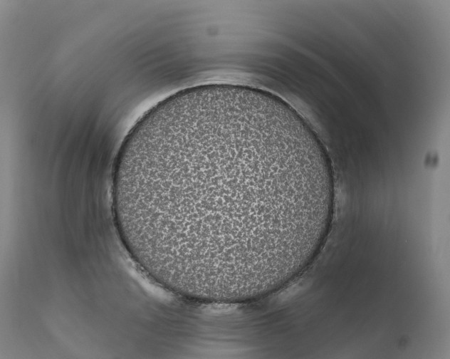 X0000111830846200908131544