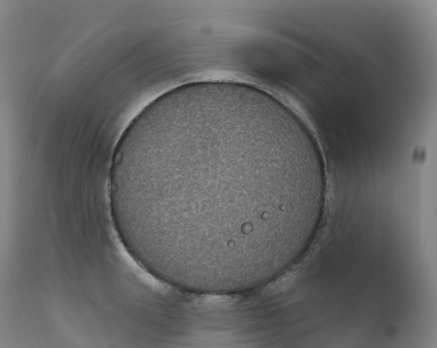 X0000111830847200908131545