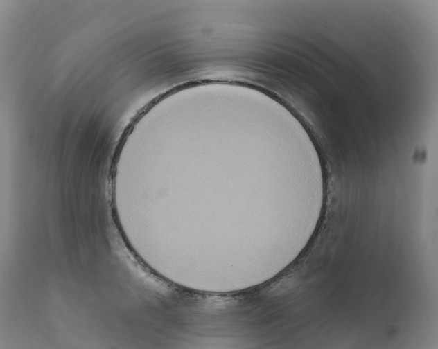 X0000111830848200908131545