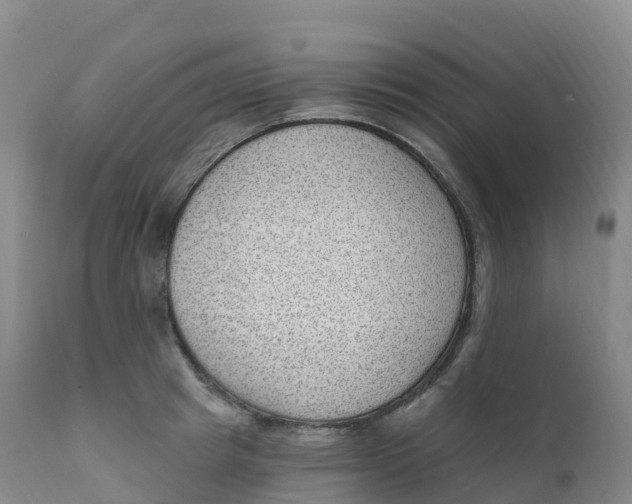 X0000111830849200908131545