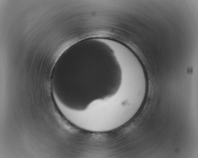 X0000111830850200908131545