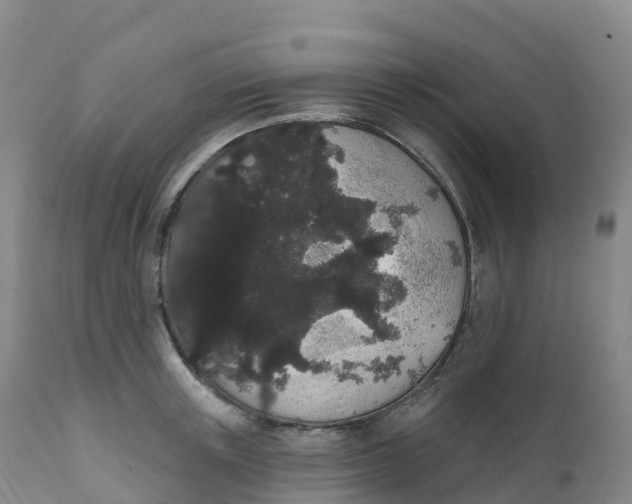 X0000111830851200908131545